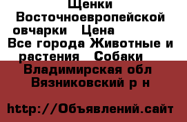 Щенки Восточноевропейской овчарки › Цена ­ 25 000 - Все города Животные и растения » Собаки   . Владимирская обл.,Вязниковский р-н